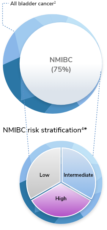 Chart showing NMIBC risk stratification, ~30% low, ~30% intermediate, and ~40% high